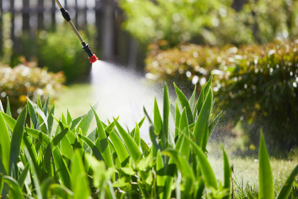 Tamper-Resistant Bait Stations for Rodents in Peoria