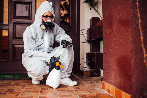 Attic and Crawl Space Rodent Treatment in Peoria