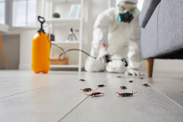 Commercial Rodent Management in Peoria